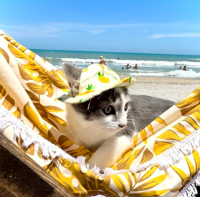 Pineapple Cat Hat
